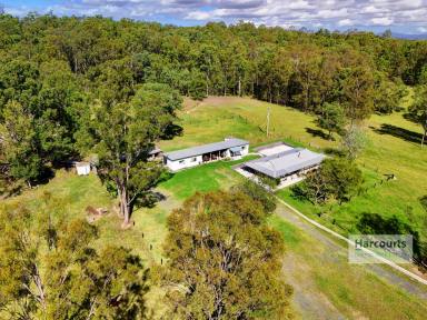 Farm For Sale - NSW - Minimbah - 2312 - "Tranquil and Inviting Rural Living"  (Image 2)