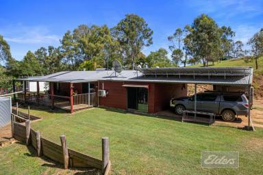 Farm For Sale - QLD - Widgee - 4570 - WORK FROM HOME AND ENJOY COUNTRY LIVING!  (Image 2)