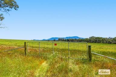 Farm Sold - VIC - Moyston - 3377 - Rural Living Allotments - Grampians Views  (Image 2)