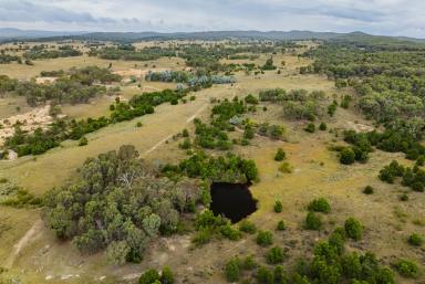 Farm For Sale - NSW - Lerida - 2581 - WILLOW SPRINGS  (Image 2)