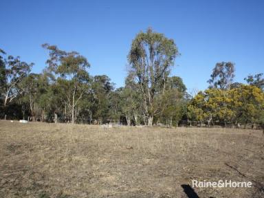 Farm For Sale - QLD - Warwick - 4370 - Land Just Minutes From The CBD  (Image 2)