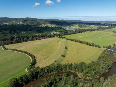 Farm For Sale - NSW - Bega - 2550 - 41 ACRE CROPPING WITH IRRIGATION  (Image 2)