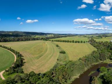 Farm For Sale - NSW - Bega - 2550 - 41 ACRE CROPPING WITH IRRIGATION  (Image 2)
