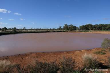 Farm Sold - NSW - Nymagee - 2831 - SHEARLEGS  (Image 2)