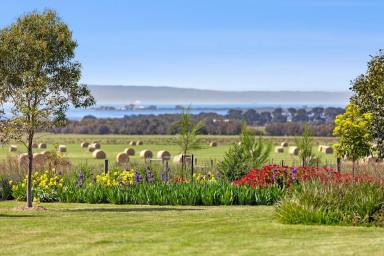 Farm For Sale - VIC - Mannerim - 3222 - Productive Bellarine property with sweeping Port Phillip views  (Image 2)