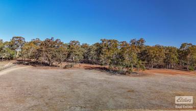 Farm For Sale - WA - Coondle - 6566 - Discover Your Ideal Property at 20 Marginata Road, Coondle  (Image 2)