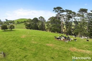 Farm For Sale - VIC - Mountain View - 3988 - 8.2 acres of Opportunity  (Image 2)