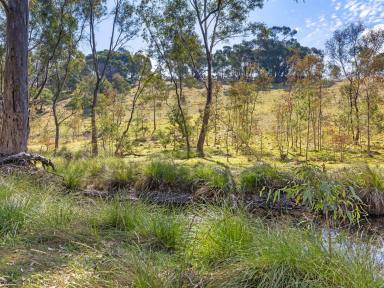 Farm For Sale - VIC - Heathcote - 3523 - Escape to the Country!  (Image 2)