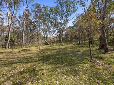 Farm For Sale - VIC - Heathcote - 3523 - Escape to the Country!  (Image 2)