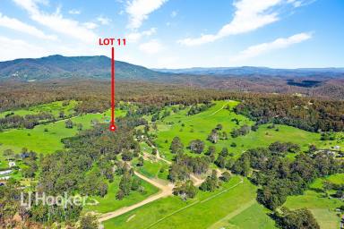 Farm For Sale - NSW - Narooma - 2546 - Self-sufficientcy Personified  (Image 2)