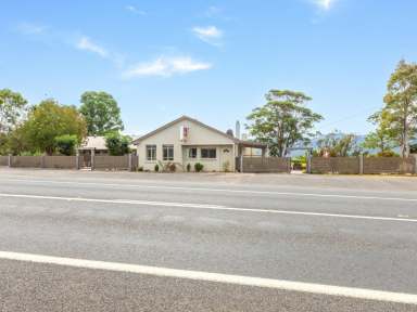 Farm For Sale - NSW - Bemboka - 2550 - ENDLESS POSSIBILITIES - FREEHOLD AND BUSINESS  (Image 2)