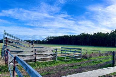 Farm For Sale - VIC - Cobden - 3266 - Dairy Run-Off / Lifestyle / Carbon Credits  (Image 2)