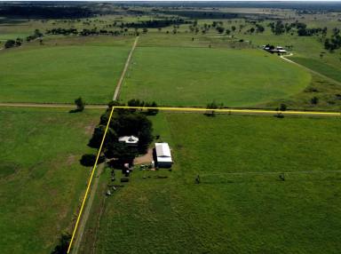 Farm For Sale - QLD - Alton Downs - 4702 - ‘Riverina’ -River Frontage -Hay Making Opportunity  (Image 2)