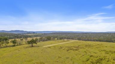 Farm For Sale - NSW - Mount Lambie - 2790 - Endless possibilities at Mount Lambie  (Image 2)