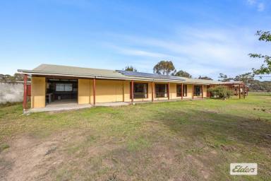 Farm For Sale - VIC - Great Western - 3374 - Large family home, and potential for Development (subject to council approval)  (Image 2)