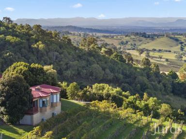 Farm For Sale - NSW - Mount View - 2325 - BIMBADEEN ESTATE – HUNTER VALLEY WINE COUNTRY  (Image 2)