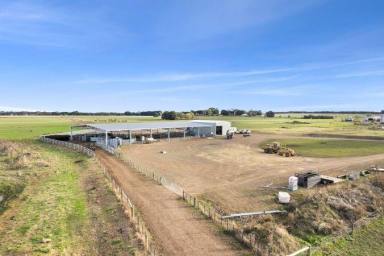 Farm For Sale - VIC - Ecklin South - 3265 - GRASS FACTORY (DAIRY – FATTENING – FODDER)  (Image 2)