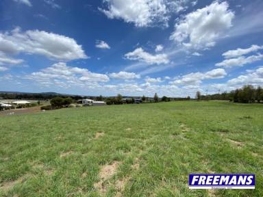 Farm For Sale - QLD - Kingaroy - 4610 - Totalling 8,673m2 with 2 separate titles  (Image 2)