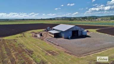 Farm For Sale - QLD - Laidley - 4341 - Endless Options - 11 Acres on Laidley Doorstep  (Image 2)