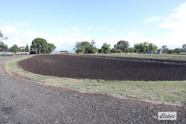 Farm For Sale - QLD - Laidley - 4341 - Endless Options - 11 Acres on Laidley Doorstep  (Image 2)