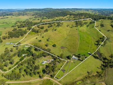 Farm For Sale - NSW - West Wiangaree - 2474 - Real Value for Money  (Image 2)