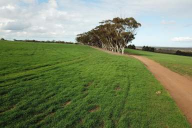 Farm For Sale - WA - Green Range - 6328 - The WALT Portfolio, Green Range, WA  (Image 2)