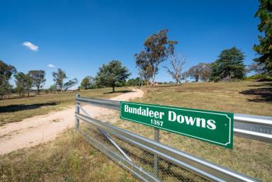 Farm Auction - NSW - O'Connell - 2795 - “BUNDALEER DOWNS” SCALABLE GRAZING COUNTRY WITH LOADS OF OPPORTUNITY  (Image 2)