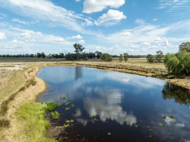 Farm For Sale - QLD - Oman Ama - 4352 - "Artunga" – A Harmony of Water and Diversity.  (Image 2)