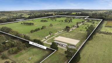 Farm For Sale - VIC - Hastings - 3915 - ‘Eternal Flame’ – Equine Agistment & Luxury  (Image 2)