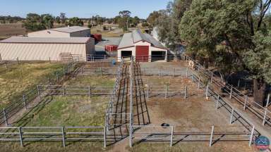 Farm Sold - VIC - Arcadia - 3631 - Elite Equine Opportunity - Shepparton Area  (Image 2)