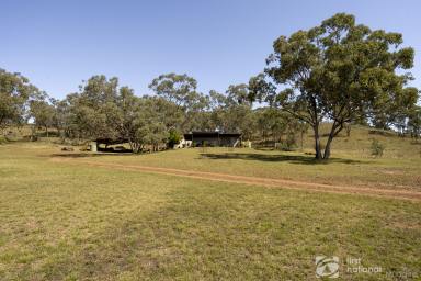 Farm For Sale - NSW - Mudgee - 2850 - 420 ACRES JUST FOR YOU  (Image 2)