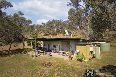 Farm For Sale - NSW - Mudgee - 2850 - 420 ACRES JUST FOR YOU  (Image 2)