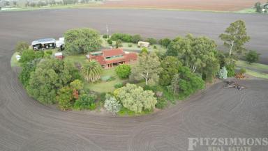 Farm For Sale - QLD - Dalby - 4405 - EXCEPTIONAL SMALL LIFESTYLE CULTIVATION FARM ON THE EDGE OF DALBY  (Image 2)