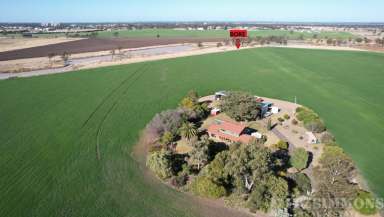 Farm For Sale - QLD - Dalby - 4405 - EXCEPTIONAL SMALL LIFESTYLE CULTIVATION FARM ON THE EDGE OF DALBY  (Image 2)