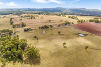 Farm For Sale - VIC - Bunding - 3342 - Discover the perfect blend of rural tranquility and convenience with these stunning properties, located just minutes from Ballan Town Centre.  (Image 2)