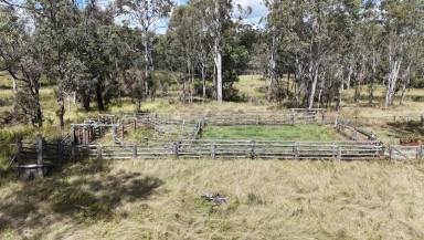 Farm For Sale - QLD - Proston - 4613 - WANT A START IN THE CATTLE INDUSTRY?  (Image 2)