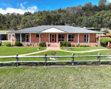 Farm For Sale - NSW - Deepwater - 2371 - Luxury and Seclusion  (Image 2)