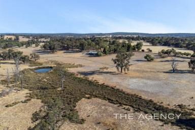 Farm For Sale - WA - Bailup - 6082 - 100 Glorious Acres, Two Dwellings & All Year Round Spring Fed Dam  (Image 2)