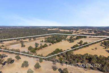Farm For Sale - WA - Bailup - 6082 - 100 Glorious Acres, Two Dwellings & All Year Round Spring Fed Dam  (Image 2)