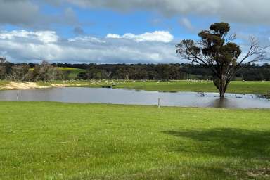 Farm For Sale - WA - Kendenup - 6323 - Classic Kendenup Country  (Image 2)