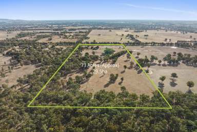 Farm Sold - VIC - Benalla - 3672 - Stop Looking! Your perfect lifestyle farmlet is just minutes from Benalla.  (Image 2)