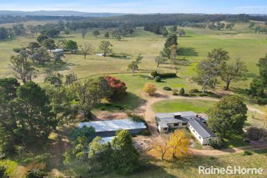 Farm For Sale - NSW - Canyonleigh - 2577 - A Beautiful Country Property You Can Retreat To Everyday.  (Image 2)