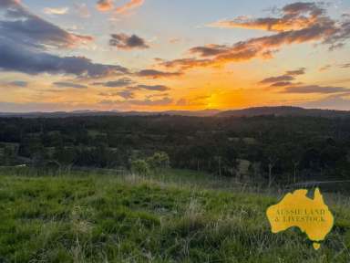 Farm For Sale - QLD - Tirroan - 4671 - Cleared Grazing Country and Well Set-up Infrastructure  (Image 2)