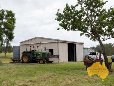 Farm For Sale - QLD - Tirroan - 4671 - Cleared Grazing Country and Well Set-up Infrastructure  (Image 2)