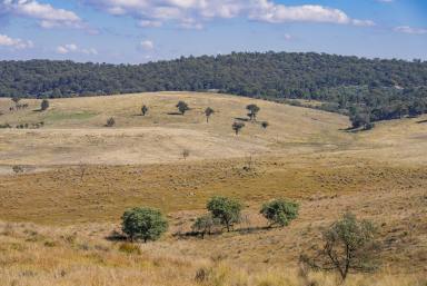 Farm For Sale - NSW - Yass River - 2582 - LIFESTYLE ON CANBERRA’S DOORSTEP  (Image 2)