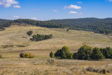 Farm For Sale - NSW - Yass River - 2582 - LIFESTYLE ON CANBERRA’S DOORSTEP  (Image 2)