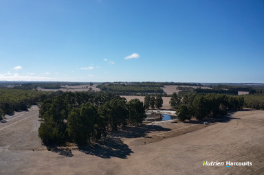 Farm For Sale - WA - Mordalup - 6258 - Highly Productive South West Region  (Image 2)