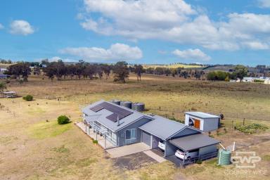 Farm For Sale - NSW - Glen Innes - 2370 - Meticulous In Every Way  (Image 2)