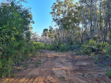 Farm Sold - QLD - Baffle Creek - 4674 - 410 ACRES OF PEACE & PRIVACY - 7.5KM FROM RULES BEACH & 6.5KM FROM THE BOAT RAMP  (Image 2)
