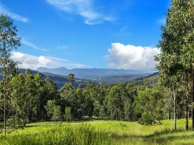 Farm For Sale - NSW - Duck Creek - 2469 - Sizeable Grazing Opportunity  (Image 2)